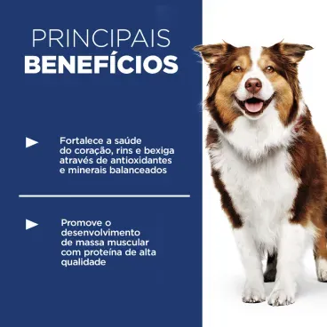 Racao Hills Science Diet Adulto 7 Mais Caes Idosos beneficios